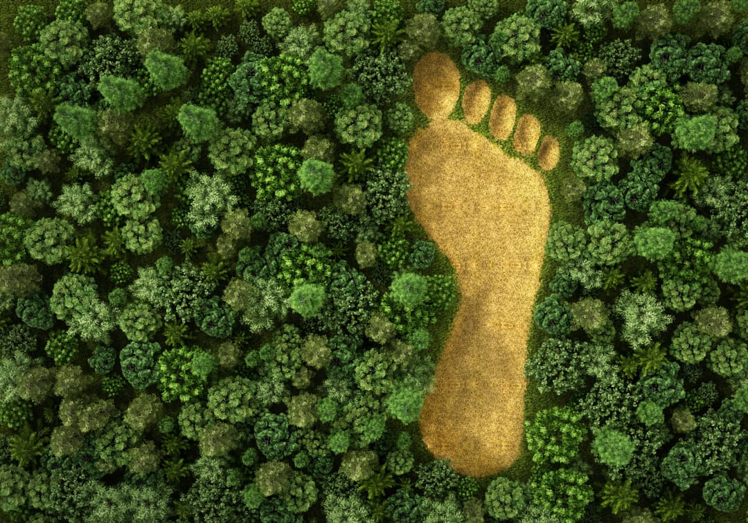 Concept of ecology. Imprint of human footprint in nature. It was