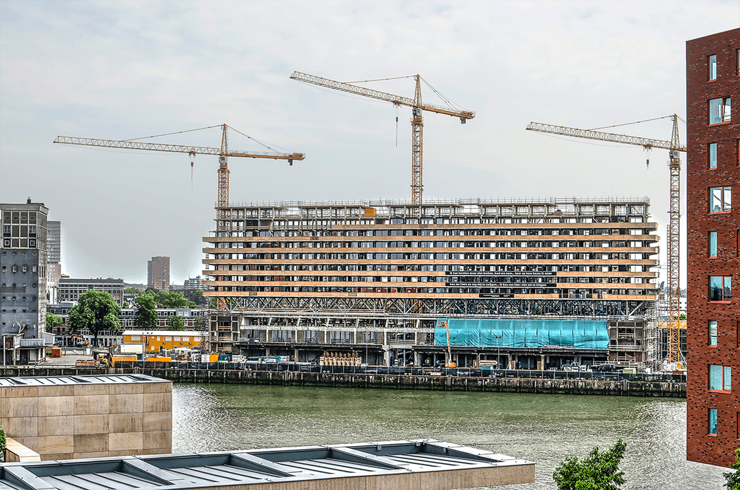 shutterstock_1135217462