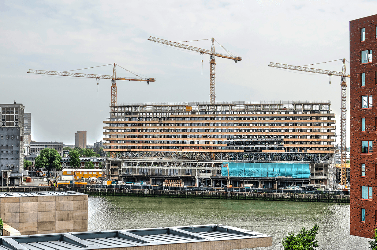 shutterstock_1135217462