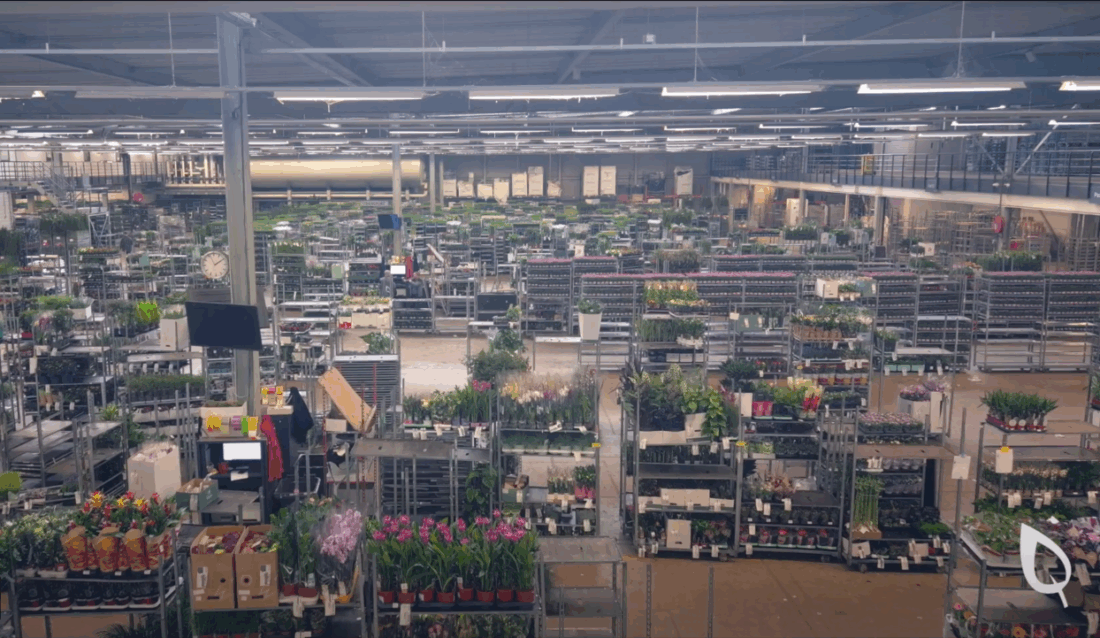 Eenduidig CO2-footprint in de sierteelt berekenen en rapporteren